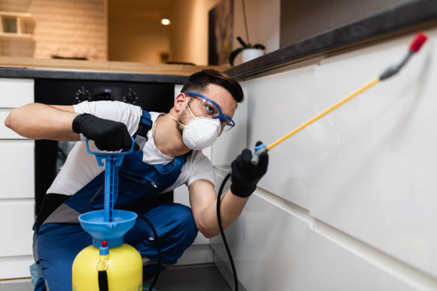 Best Termite Control Services  in Brook Park, OH