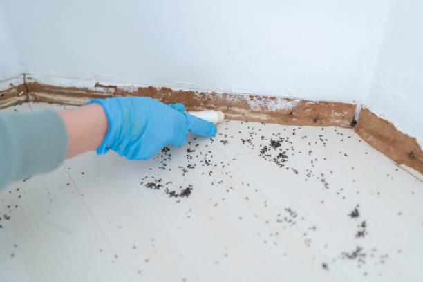 Trusted Brook Park, OH Pest Control Experts
